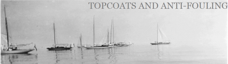 TOPCOATS AND ANTI-FOULING
